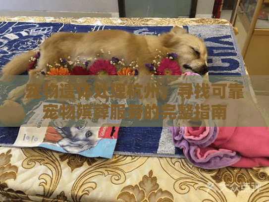 宠物遗体处理杭州，寻找可靠宠物殡葬服务的完整指南