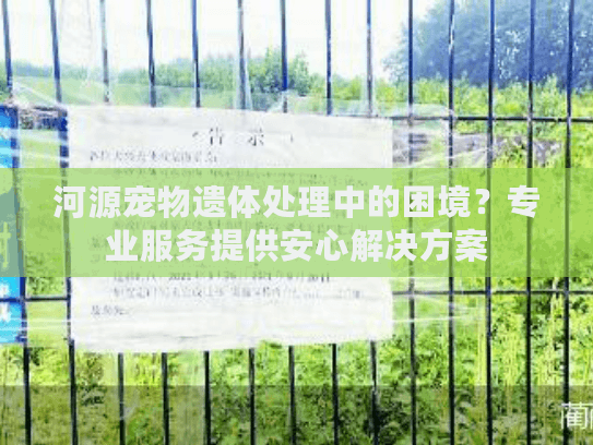 河源宠物遗体处理中的困境？专业服务提供安心解决方案