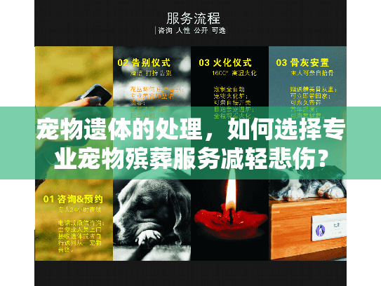 宠物遗体的处理，如何选择专业宠物殡葬服务减轻悲伤？