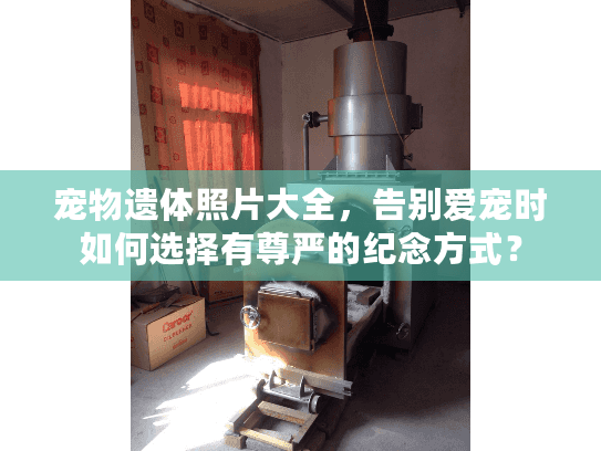 宠物遗体照片大全，告别爱宠时如何选择有尊严的纪念方式？