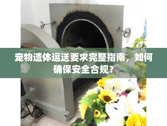宠物遗体运送要求完整指南，如何确保安全合规？
