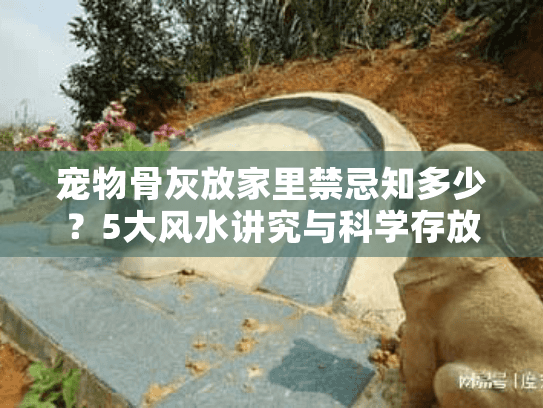 宠物骨灰放家里禁忌知多少？5大风水讲究与科学存放指南