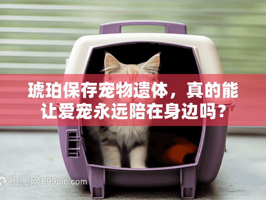 琥珀保存宠物遗体,真的能让爱宠永远陪在身边吗? 琥珀保存宠物遗体,真的能让爱宠永远陪在身边吗?