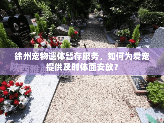 徐州宠物遗体暂存服务，如何为爱宠提供及时体面安放？