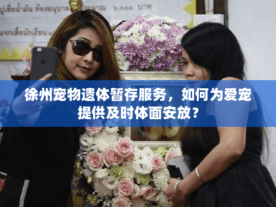 徐州宠物遗体暂存服务，如何为爱宠提供及时体面安放？