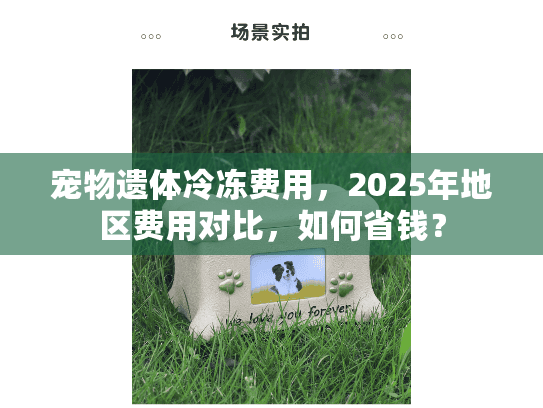 宠物遗体冷冻费用，2025年地区费用对比，如何省钱？