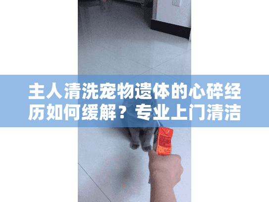 主人清洗宠物遗体的心碎经历如何缓解？专业上门清洁服务真实解析