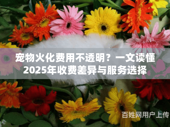 宠物火化费用不透明？一文读懂2025年收费差异与服务选择