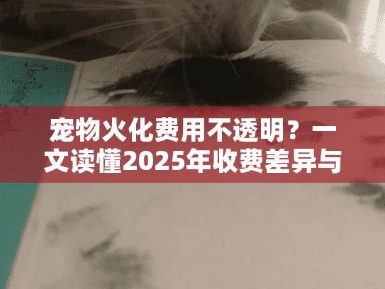 宠物火化费用不透明？一文读懂2025年收费差异与服务选择
