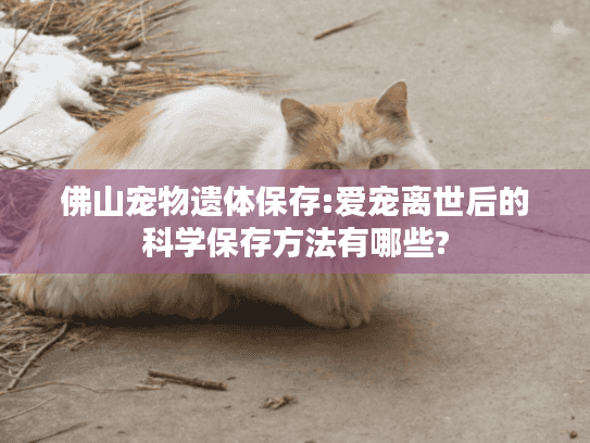 佛山宠物遗体保存:爱宠离世后的科学保存方法有哪些?