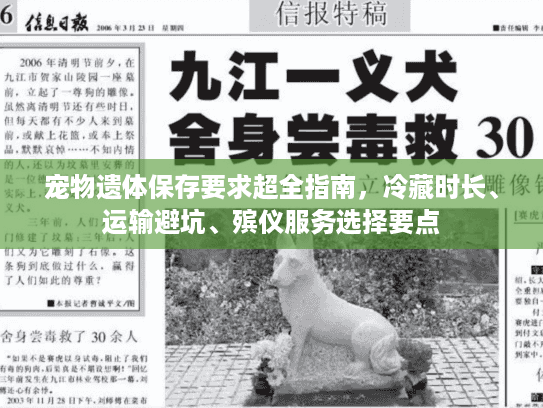 宠物遗体保存要求超全指南，冷藏时长、运输避坑、殡仪服务选择要点