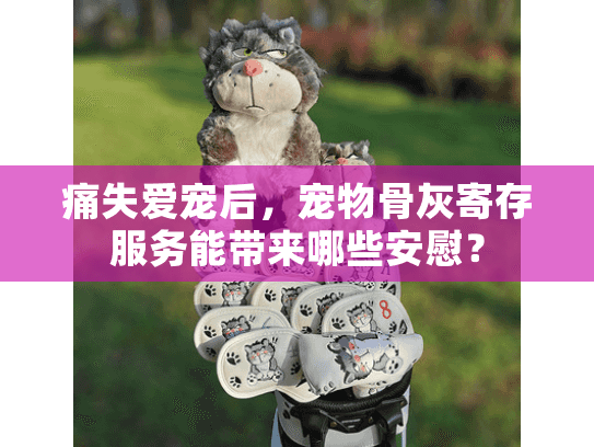 痛失爱宠后，宠物骨灰寄存服务能带来哪些安慰？