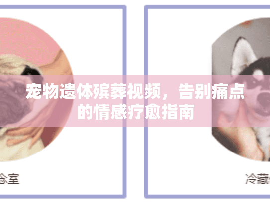 宠物遗体殡葬视频，告别痛点的情感疗愈指南