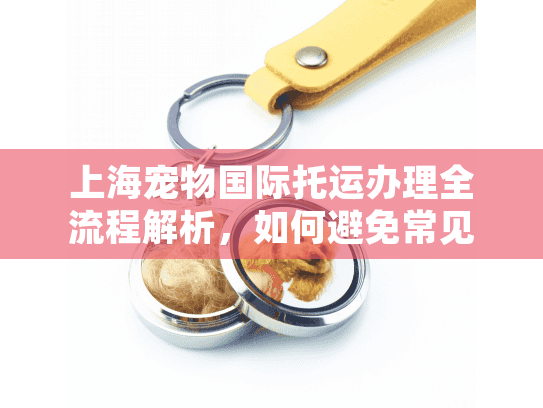 上海宠物国际托运办理全流程解析，如何避免常见错误行动指南