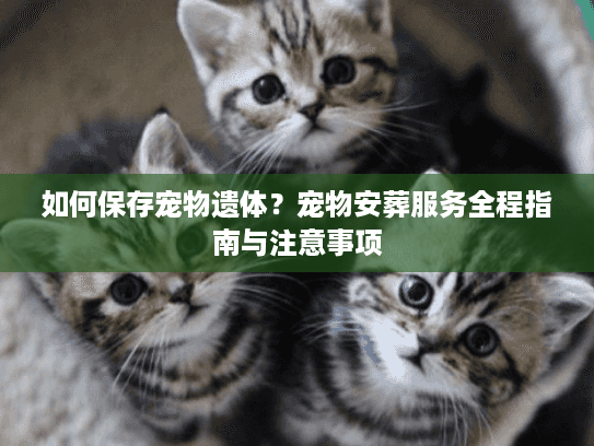 如何保存宠物遗体？宠物安葬服务全程指南与注意事项