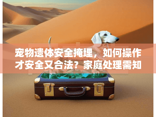 宠物遗体安全掩埋，如何操作才安全又合法？家庭处理需知