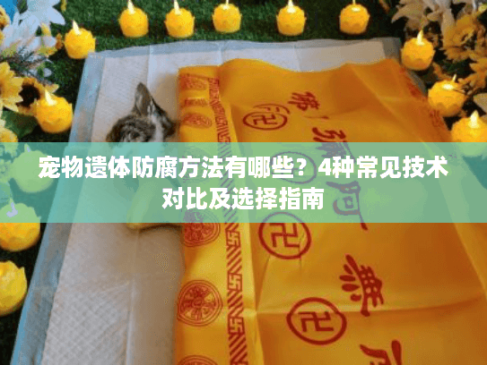 宠物遗体防腐方法有哪些？4种常见技术对比及选择指南