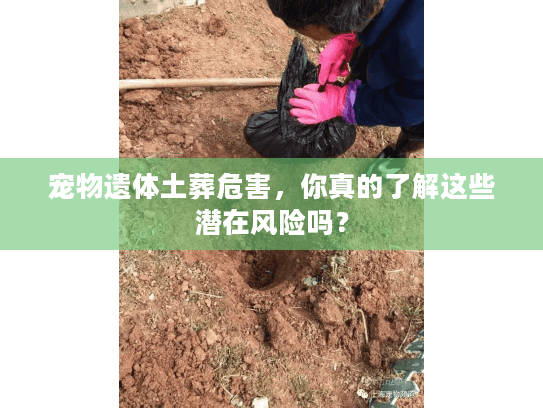 宠物遗体土葬危害,你真的了解这些潜在风险吗? 宠物遗体土葬危害,你真的了解这些潜在风险吗?