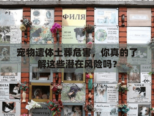 宠物遗体土葬危害,你真的了解这些潜在风险吗? 宠物遗体土葬危害,你真的了解这些潜在风险吗?
