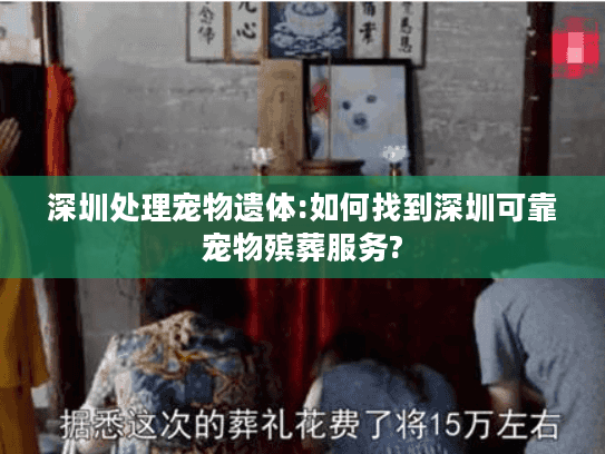 深圳处理宠物遗体:如何找到深圳可靠宠物殡葬服务?