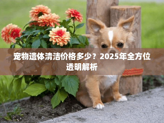 宠物遗体清洁价格多少？2025年全方位透明解析