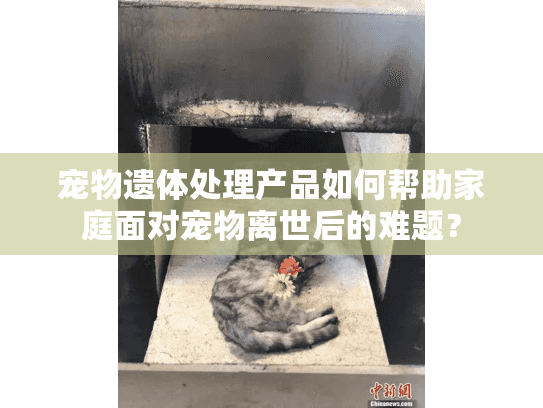宠物遗体处理产品如何帮助家庭面对宠物离世后的难题？