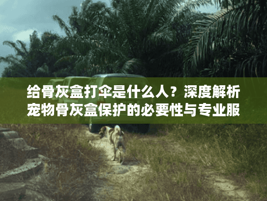 给骨灰盒打伞是什么人？深度解析宠物骨灰盒保护的必要性与专业服务