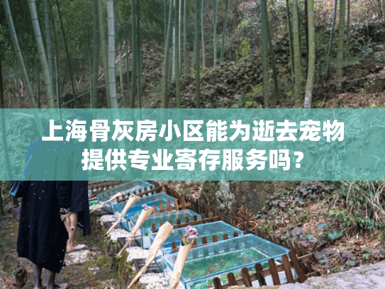 上海骨灰房小区能为逝去宠物提供专业寄存服务吗？