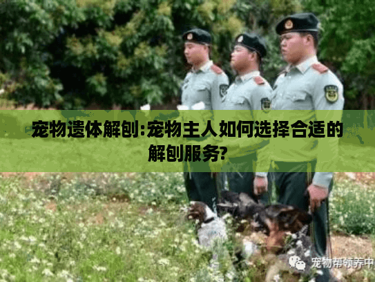 宠物遗体解刨:宠物主人如何选择合适的解刨服务?