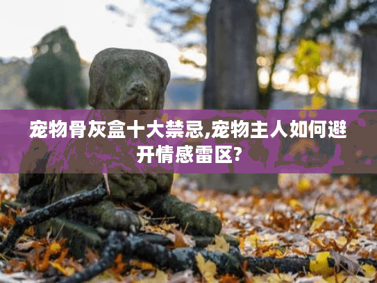 宠物骨灰盒十大禁忌,宠物主人如何避开情感雷区?