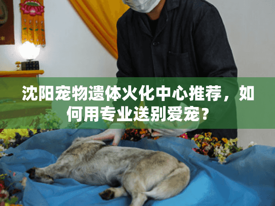沈阳宠物遗体火化中心推荐,如何用专业送别爱宠? 沈阳宠物遗体火化中心推荐,如何用专业送别爱宠?
