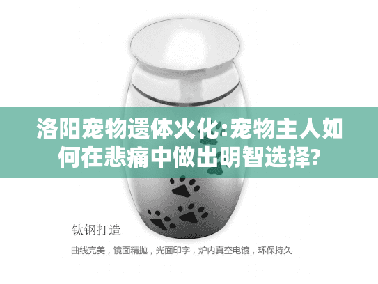洛阳宠物遗体火化:宠物主人如何在悲痛中做出明智选择?