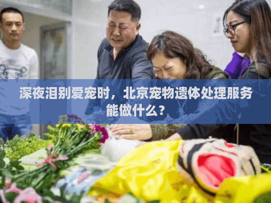 深夜泪别爱宠时，北京宠物遗体处理服务能做什么？