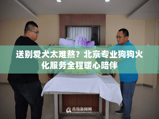 送别爱犬太难熬？北京专业狗狗火化服务全程暖心陪伴