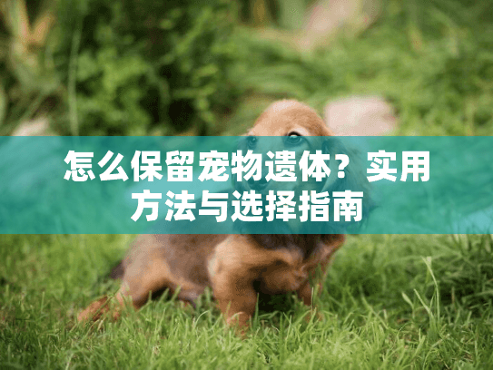 怎么保留宠物遗体？实用方法与选择指南