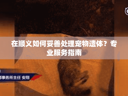 在顺义如何妥善处理宠物遗体？专业服务指南