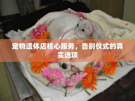 宠物遗体店核心服务，告别仪式的真实选项