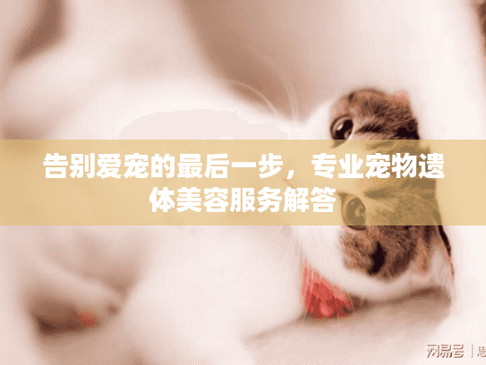 告别爱宠的最后一步，专业宠物遗体美容服务解答