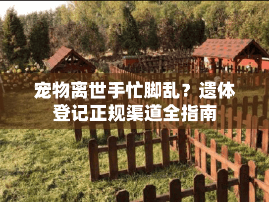 宠物离世手忙脚乱？遗体登记正规渠道全指南