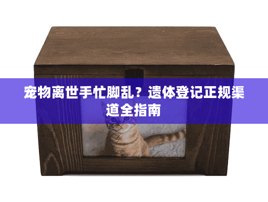 宠物离世手忙脚乱？遗体登记正规渠道全指南