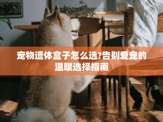 宠物遗体盒子怎么选?告别爱宠的温暖选择指南 宠物遗体盒子怎么选?告别爱宠的温暖选择指南