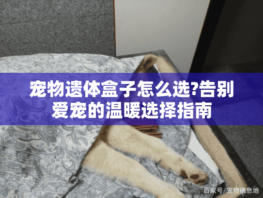 宠物遗体盒子怎么选?告别爱宠的温暖选择指南 宠物遗体盒子怎么选?告别爱宠的温暖选择指南