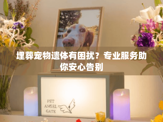 埋葬宠物遗体有困扰？专业服务助你安心告别