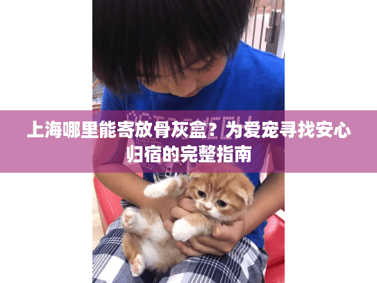 上海哪里能寄放骨灰盒？为爱宠寻找安心归宿的完整指南