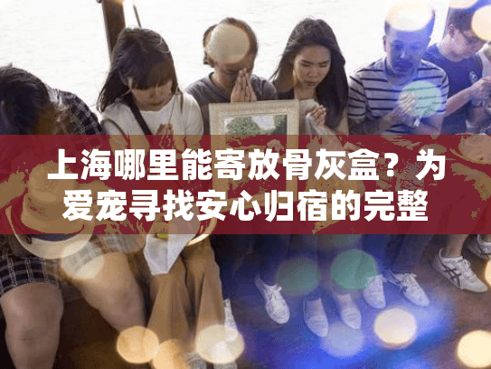 上海哪里能寄放骨灰盒？为爱宠寻找安心归宿的完整指南