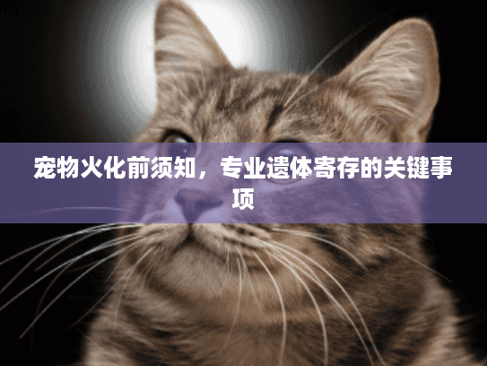 宠物火化前须知，专业遗体寄存的关键事项