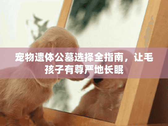 宠物遗体公墓选择全指南，让毛孩子有尊严地长眠