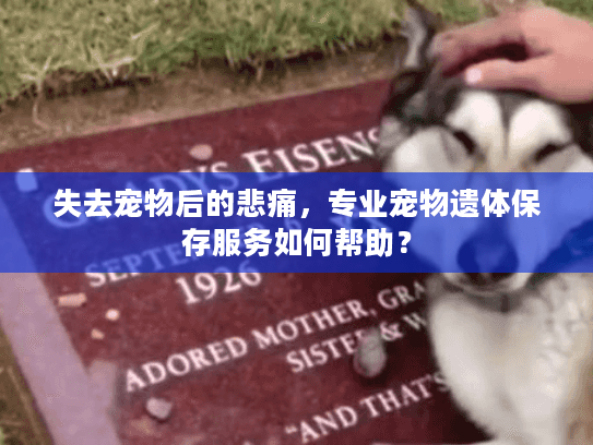 失去宠物后的悲痛，专业宠物遗体保存服务如何帮助？
