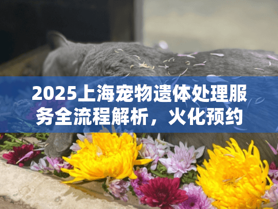 2025上海宠物遗体处理服务全流程解析，火化预约到善后指南