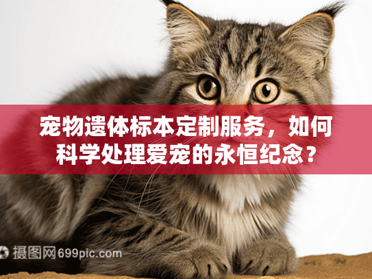 宠物遗体标本定制服务，如何科学处理爱宠的永恒纪念？
